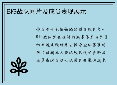 BIG战队图片及成员表现展示