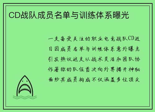 CD战队成员名单与训练体系曝光